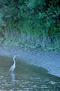 BUITEN BEELD Foto: 221274