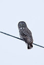 BUITEN BEELD Foto: 221292