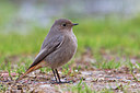 BUITEN BEELD Foto: 221360