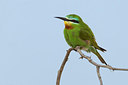 BUITEN BEELD Foto: 221365