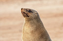 BUITEN BEELD Foto: 221391