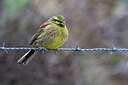 BUITEN BEELD Foto: 221409