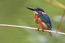 BUITEN BEELD Foto: 221427
