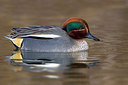 BUITEN BEELD Foto: 221456