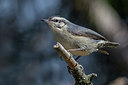 BUITEN BEELD Foto: 221470
