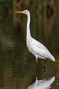 BUITEN BEELD Foto: 221546