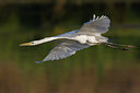 BUITEN BEELD Foto: 221562