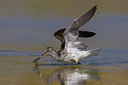 BUITEN BEELD Foto: 221587