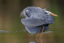 BUITEN BEELD Foto: 221597