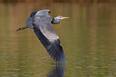 BUITEN BEELD Foto: 221599