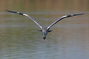 BUITEN BEELD Foto: 221610
