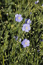 BUITEN BEELD Foto: 221676