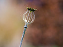 BUITEN BEELD Foto: 221680