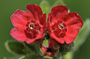 BUITEN BEELD Foto: 222049