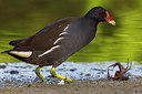 BUITEN BEELD Foto: 222095