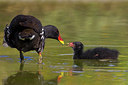 BUITEN BEELD Foto: 222099