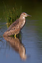 BUITEN BEELD Foto: 222102