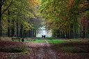 BUITEN BEELD Foto: 222163