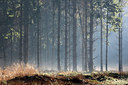 BUITEN BEELD Foto: 222176