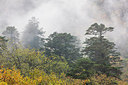 BUITEN BEELD Foto: 222269