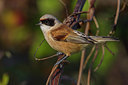 BUITEN BEELD Foto: 222280