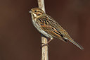 BUITEN BEELD Foto: 222367
