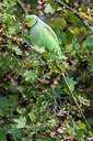 BUITEN BEELD Foto: 222389