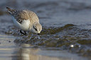 BUITEN BEELD Foto: 222410