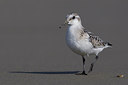 BUITEN BEELD Foto: 222414