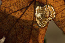 BUITEN BEELD Foto: 222443