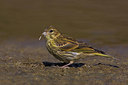 BUITEN BEELD Foto: 222459