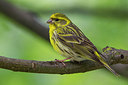 BUITEN BEELD Foto: 222464