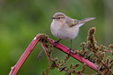 BUITEN BEELD Foto: 222482