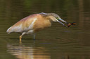 BUITEN BEELD Foto: 222569