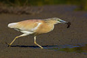 BUITEN BEELD Foto: 222575
