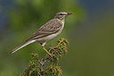 BUITEN BEELD Foto: 222603