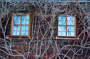 BUITEN BEELD Foto: 222695
