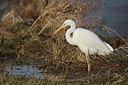 BUITEN BEELD Foto: 222761