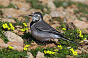 BUITEN BEELD Foto: 222800