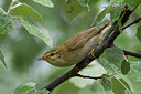 BUITEN BEELD Foto: 222803