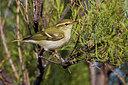 BUITEN BEELD Foto: 222821