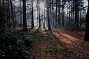 BUITEN BEELD Foto: 222829