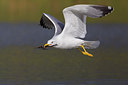 BUITEN BEELD Foto: 222842