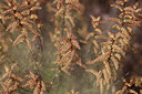 BUITEN BEELD Foto: 222854