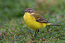 BUITEN BEELD Foto: 222886