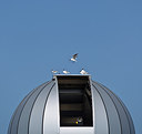 BUITEN BEELD Foto: 222891
