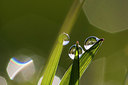 BUITEN BEELD Foto: 222930