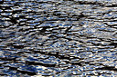 BUITEN BEELD Foto: 223003