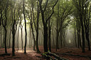 BUITEN BEELD Foto: 223091