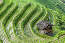BUITEN BEELD Foto: 223225